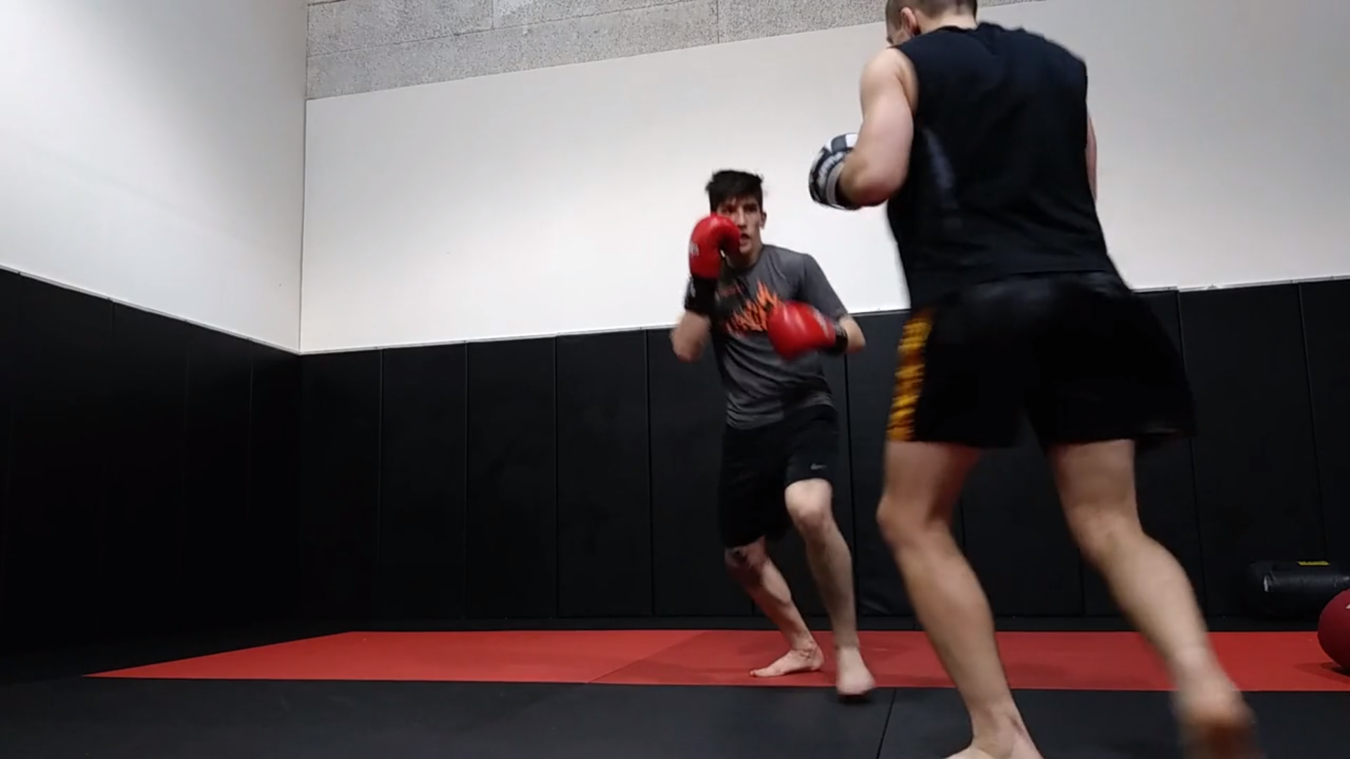 Striking Study – Defensive Mastery