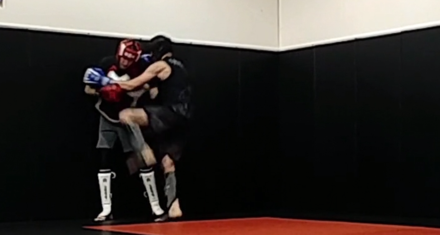 Striking – Bodyshield Knees