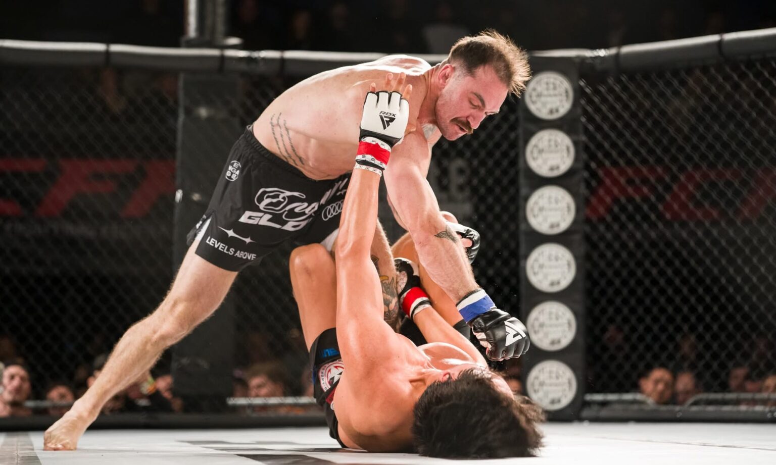Fight Access The Fight System – An Innovative Mixed Martial Arts Training System